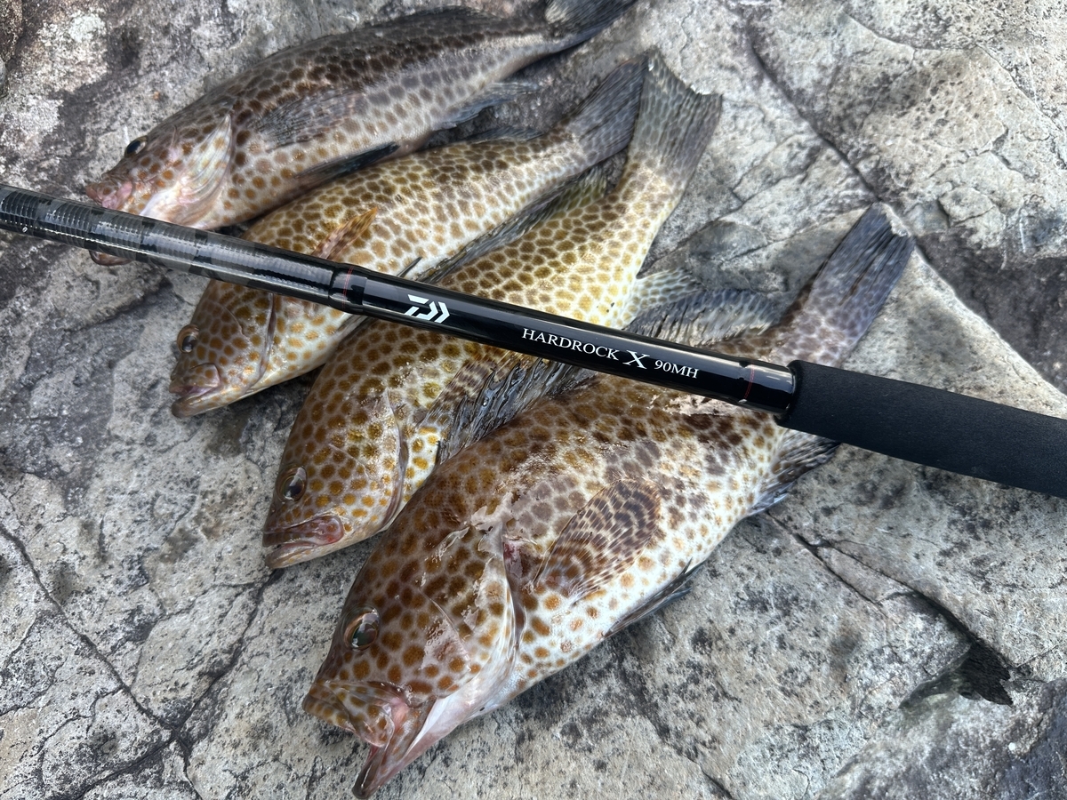 ダイワ24ハードロックX】実釣インプレ！ハタゲームでの評価と本音