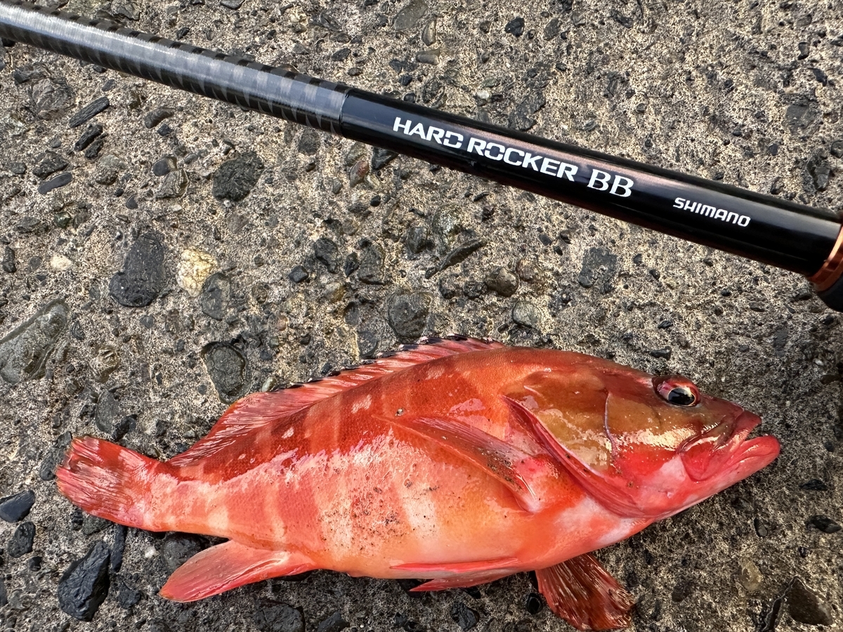 シマノ ハードロッカーXR S83MH ロックフィッシュ HRF
