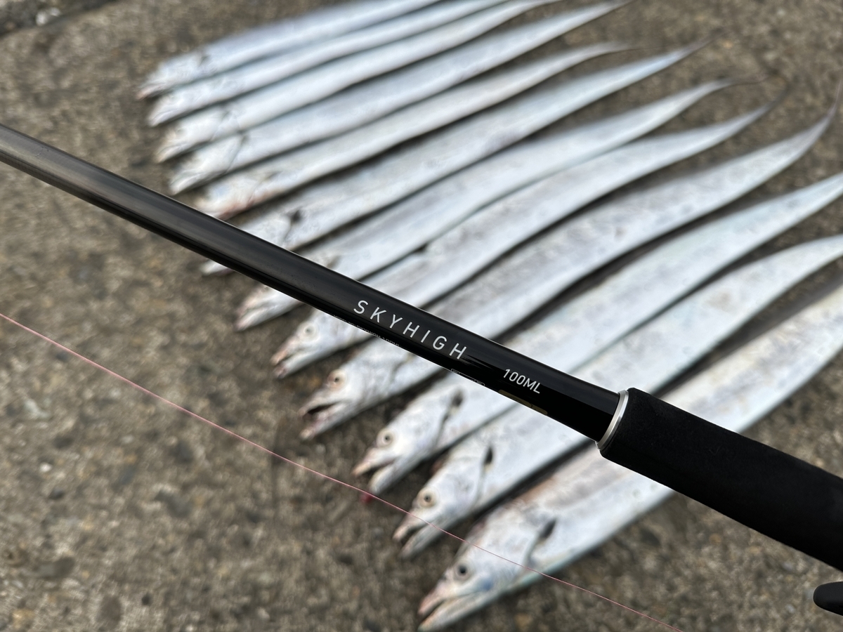 ダイワ25スカイハイ】実釣インプレ！マルチに使い込んだ感想と本音
