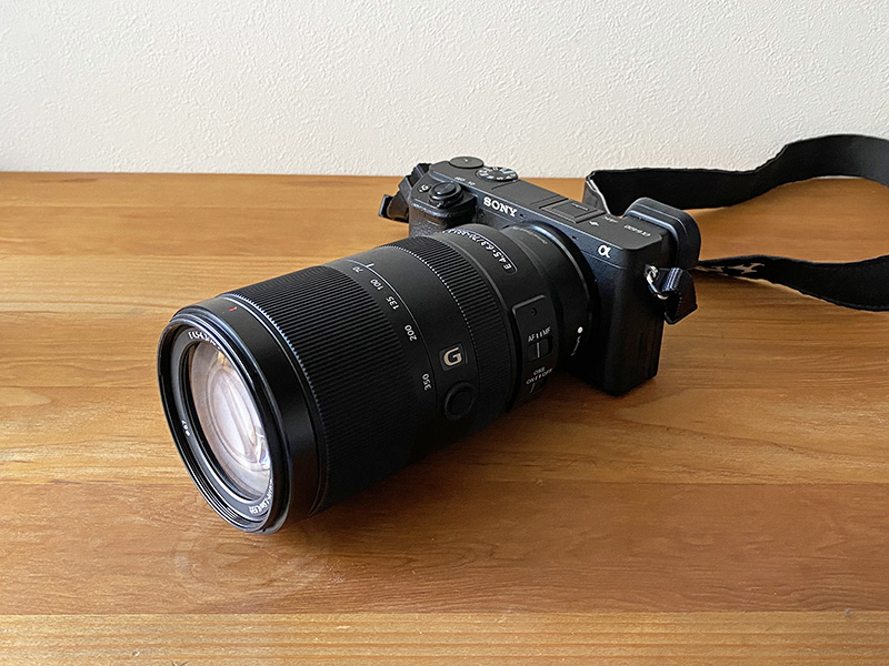 新しい超望遠レンズ (Sony SEL70350G) のテストのために，近所の川原で