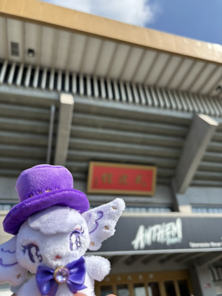 星組 礼真琴 日本武道館コンサート「ANTHEM－アンセム－」千秋楽に行っ