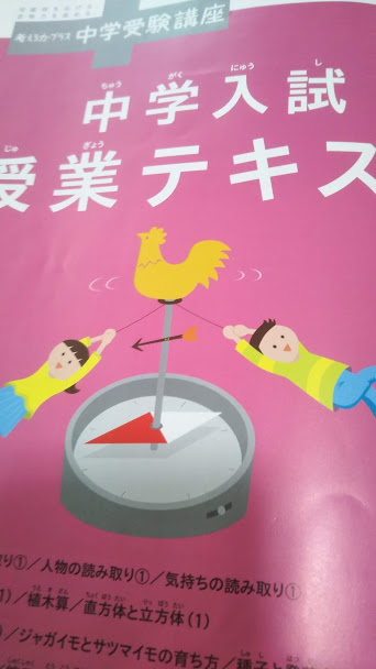 進研ゼミ【考える力・プラス 中学受験講座】（私立・国立受験用）4