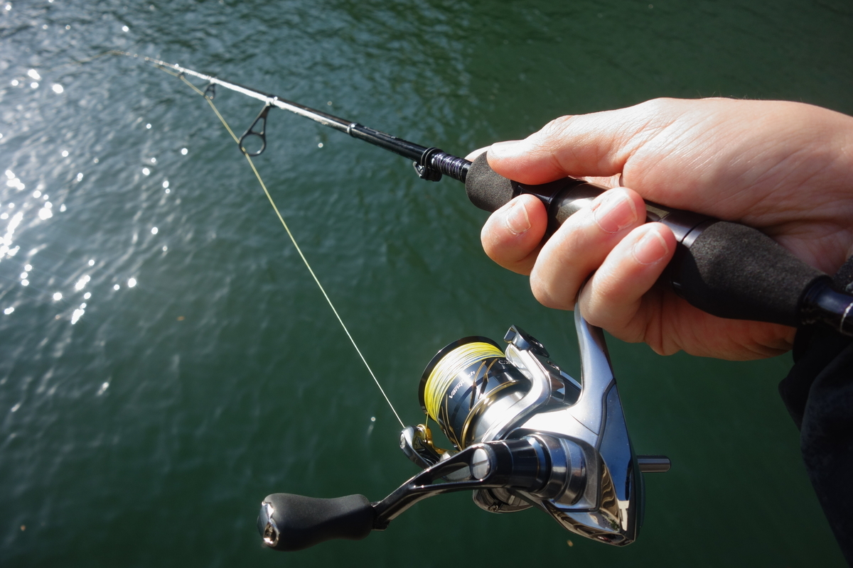 ダイワ ハートランド 冴掛レベルディレクション HL 6102LFS-AGS13