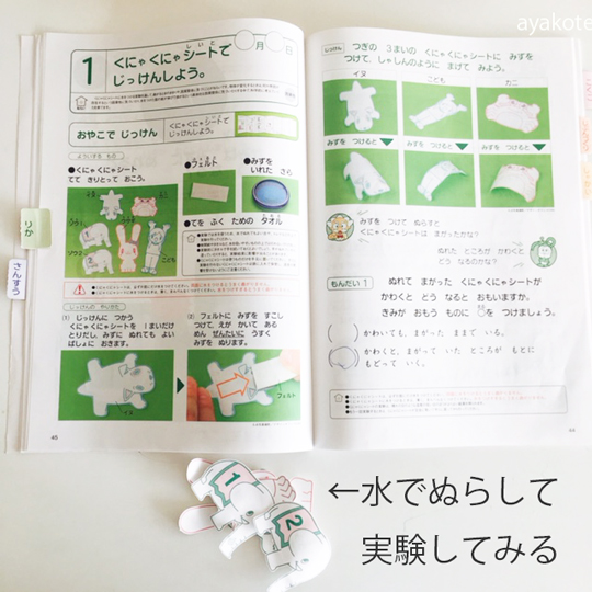 考える力・プラス講座(チャレンジ一年生)」をやってみた感想！実験し