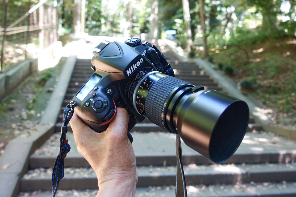 ニコンのマイクロレンズ、AI Micro-Nikkor 105mm f/2.8S を D810A