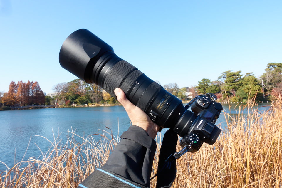 Nikon Z6IIを購入したので、望遠レンズAF-S NIKKOR 200-500mm f/5.6E