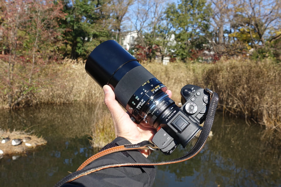 TAMRON SP 500mm F/8（55B）はおすすめできないけど、野鳥撮影にも使え