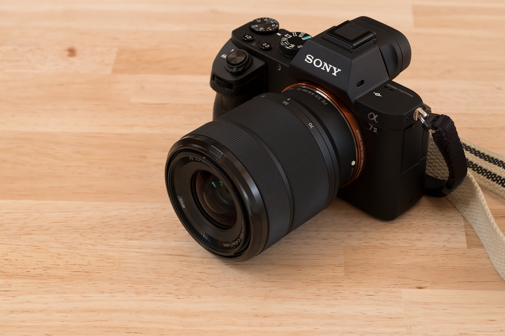 SONY standard zoom lens test - with α7II - snowfallのメモ帳