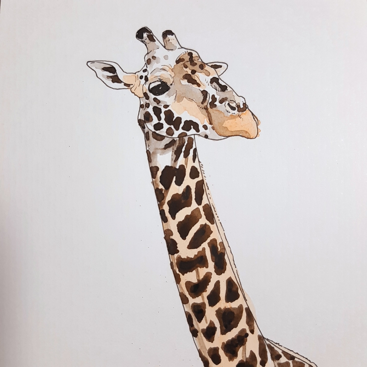 水彩画439枚目｢キリンさん｣ - sola-chan's blog