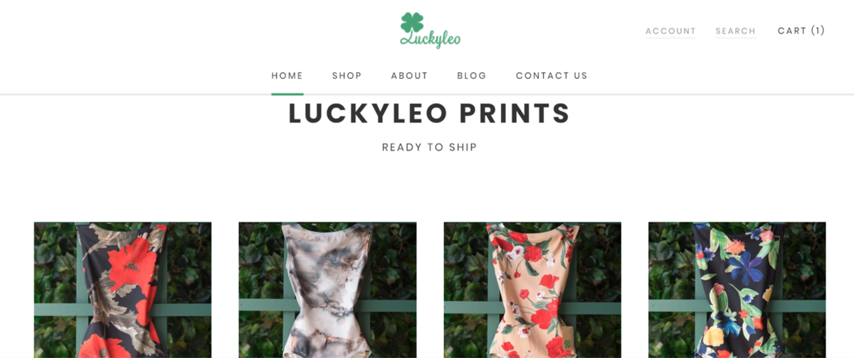 Luckyleo(ラッキーレオ)でレオタードを買ってみた - 大人から始める