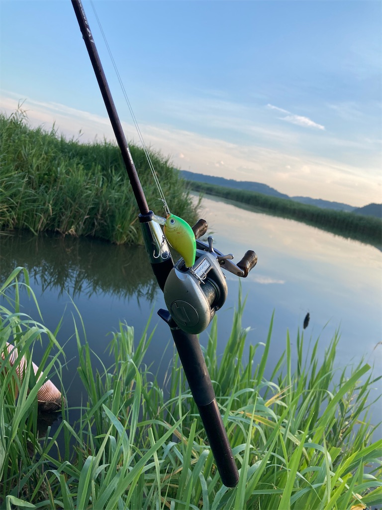 釣りロマンを求めて】つりくちまんをもとめて スコーピオンXT 銀メタ