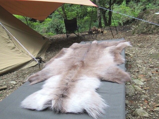 トナカイ毛皮をキャンプのラグに！暖かさは？臭いは？肌触りは？お