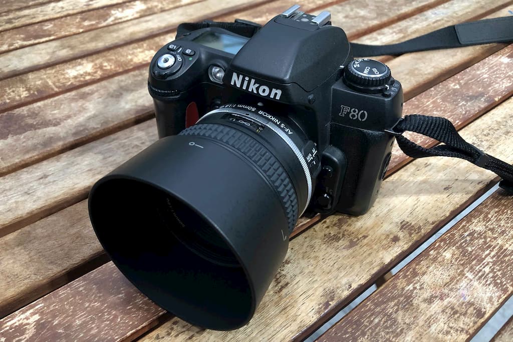 NIKON F80SとAF-S NIKKOR 50mm f/1.8Gで夢の島熱帯植物園を撮ってきた