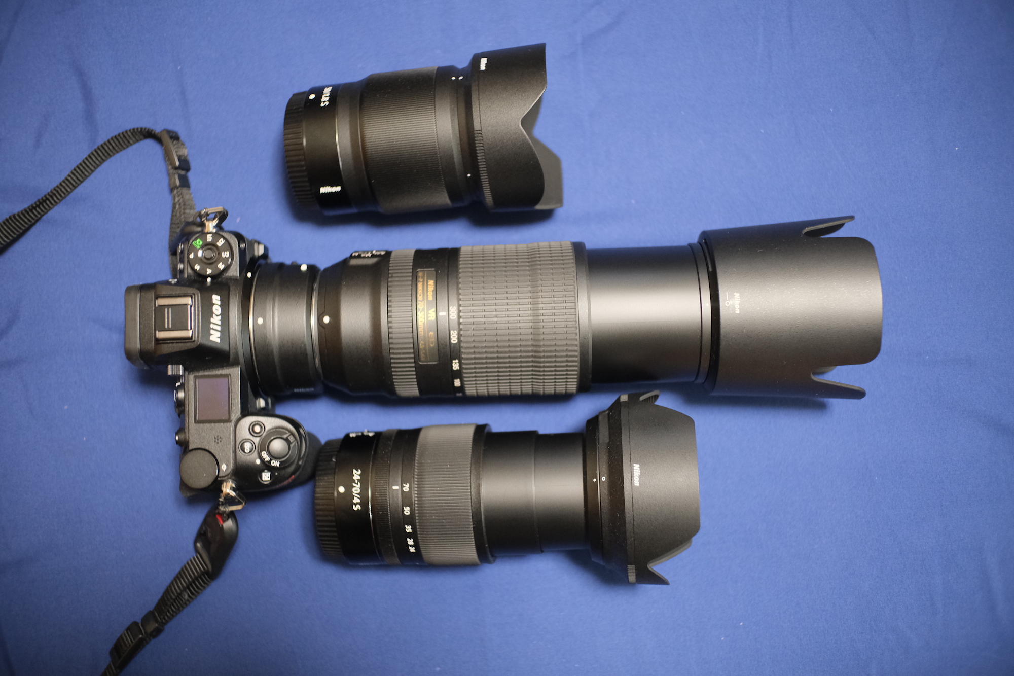 レビュー・作例】AF-P NIKKOR 70-300mm f/4.5-5.6E ED VR 購入しました
