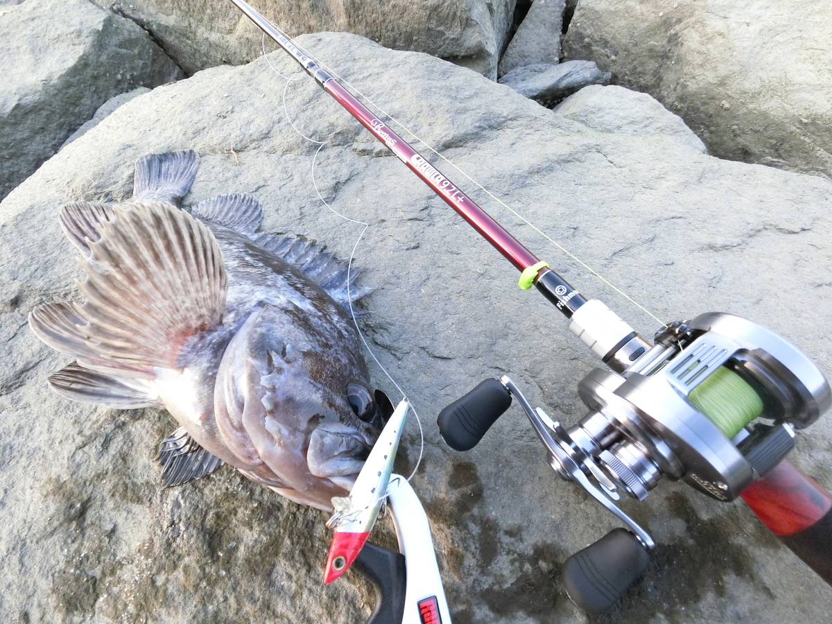 ビームスクローラ9.2L＋とカルカッタコンクエストDCでシーバス