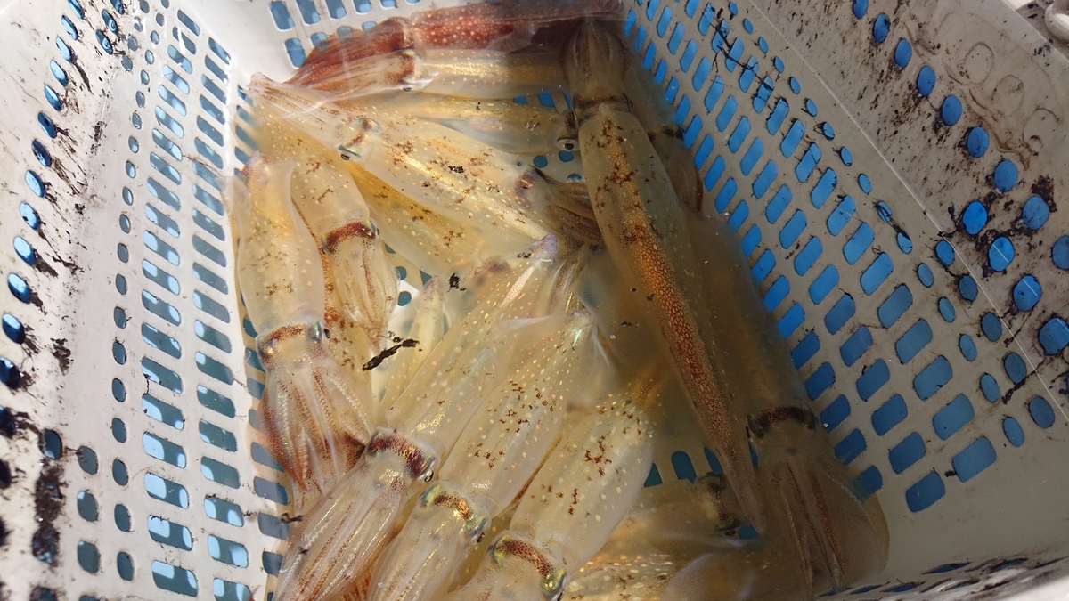 イカメタルゲーム「オーシャンスピア」の簡易インプレ / バルケッタF