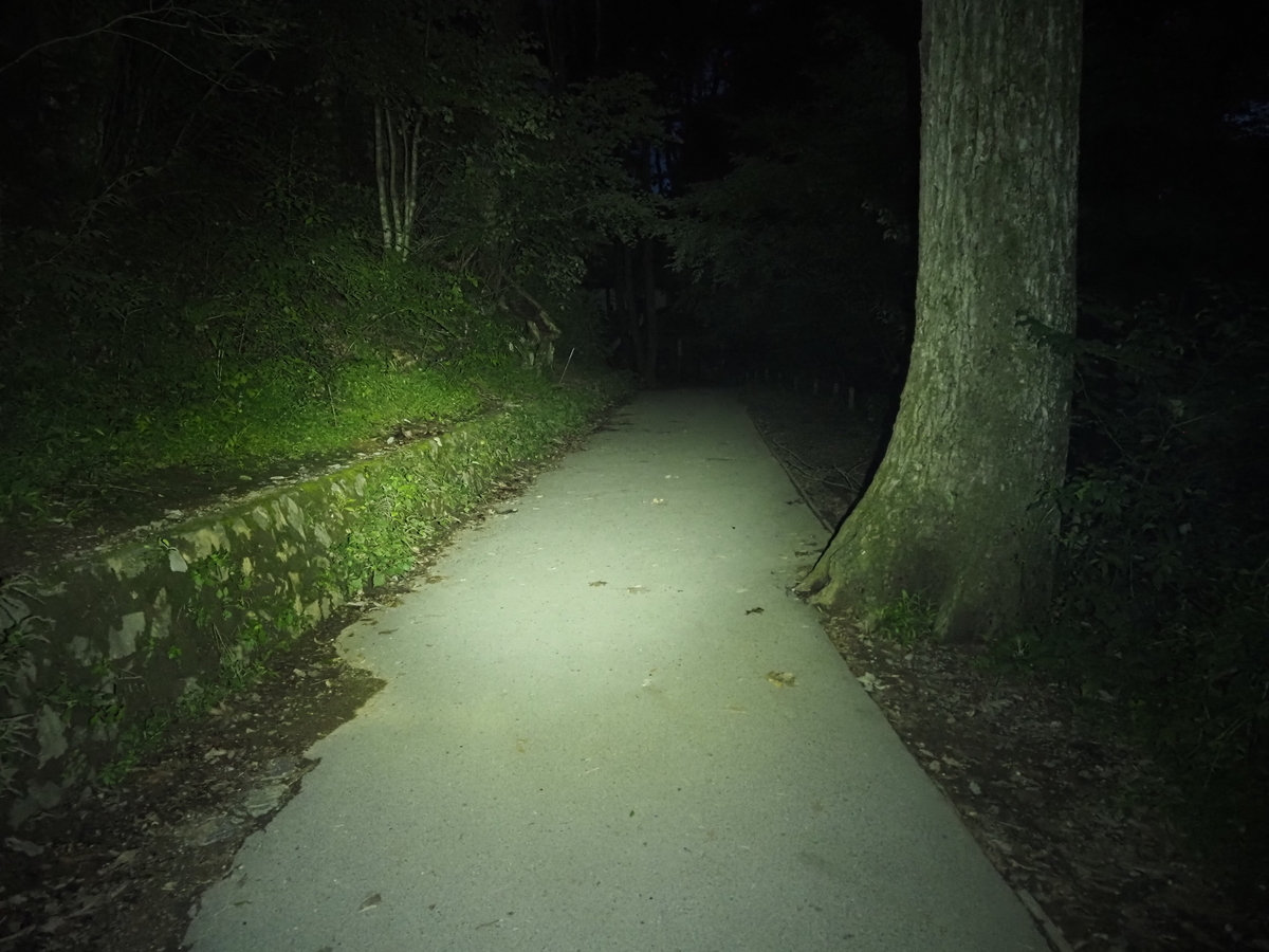 Olight Seeker3 Proのレビュー。EDCライトや防災、昆虫採集にも使える