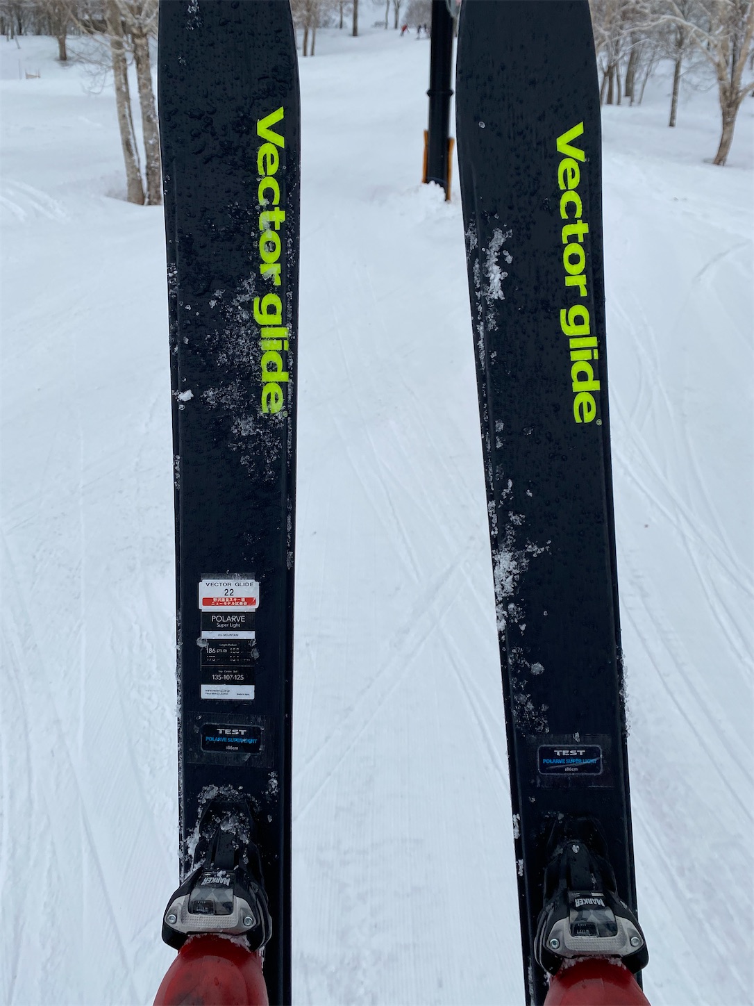 試乗会のメモ1 ベクターグライド、アルペン板編 - 凡人スキーヤーの