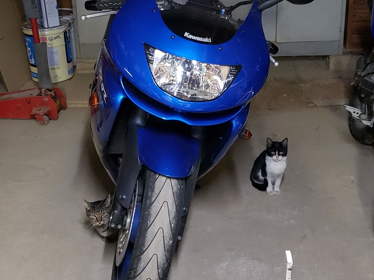 ZX-9R C型 ユメタマのインプレ - さいとーの雑記