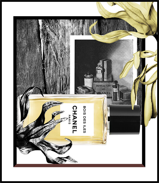 シャネル：ボワ デ ジル - フレグランスアッセンブル