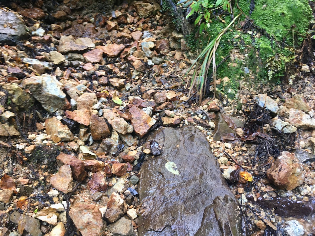 金平糖と毒薬 - 雑多拾いもん