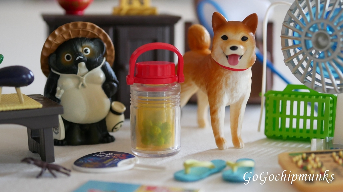 ぼくのおもいで日記〜田舎で過ごした8日間〜【8 days at grandparents