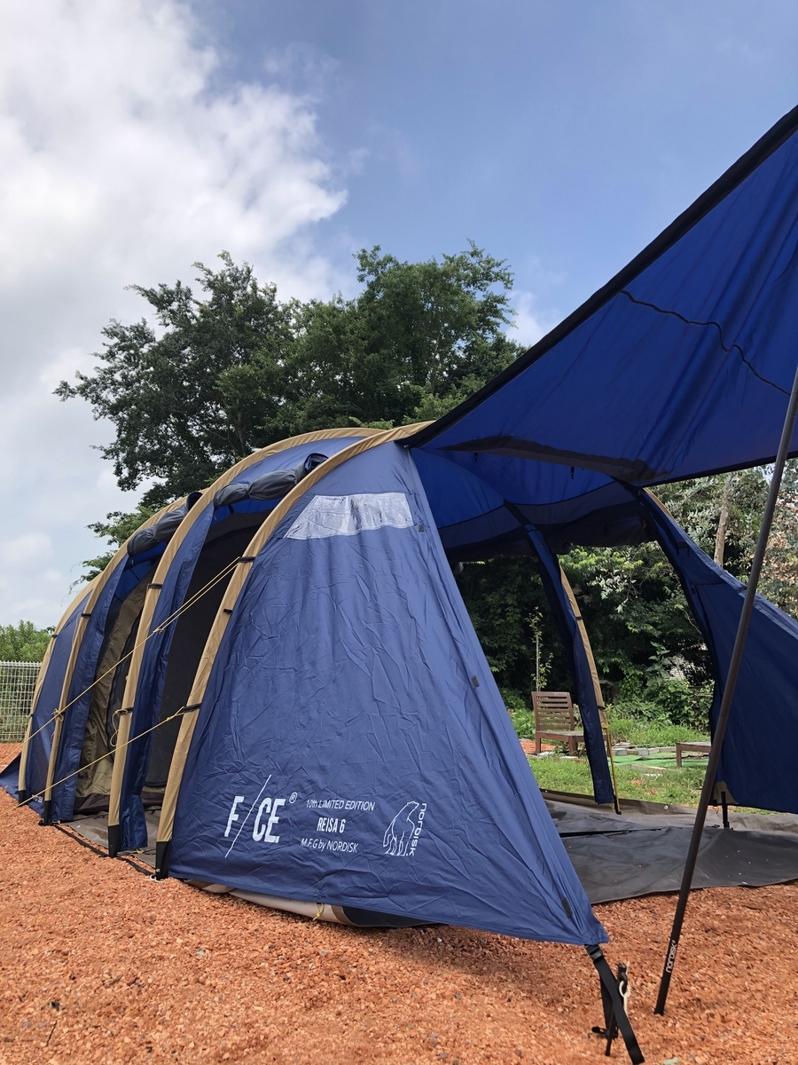 限定レイサ6】他とかぶらない【青いNORDISC】 1stロットのレビュー