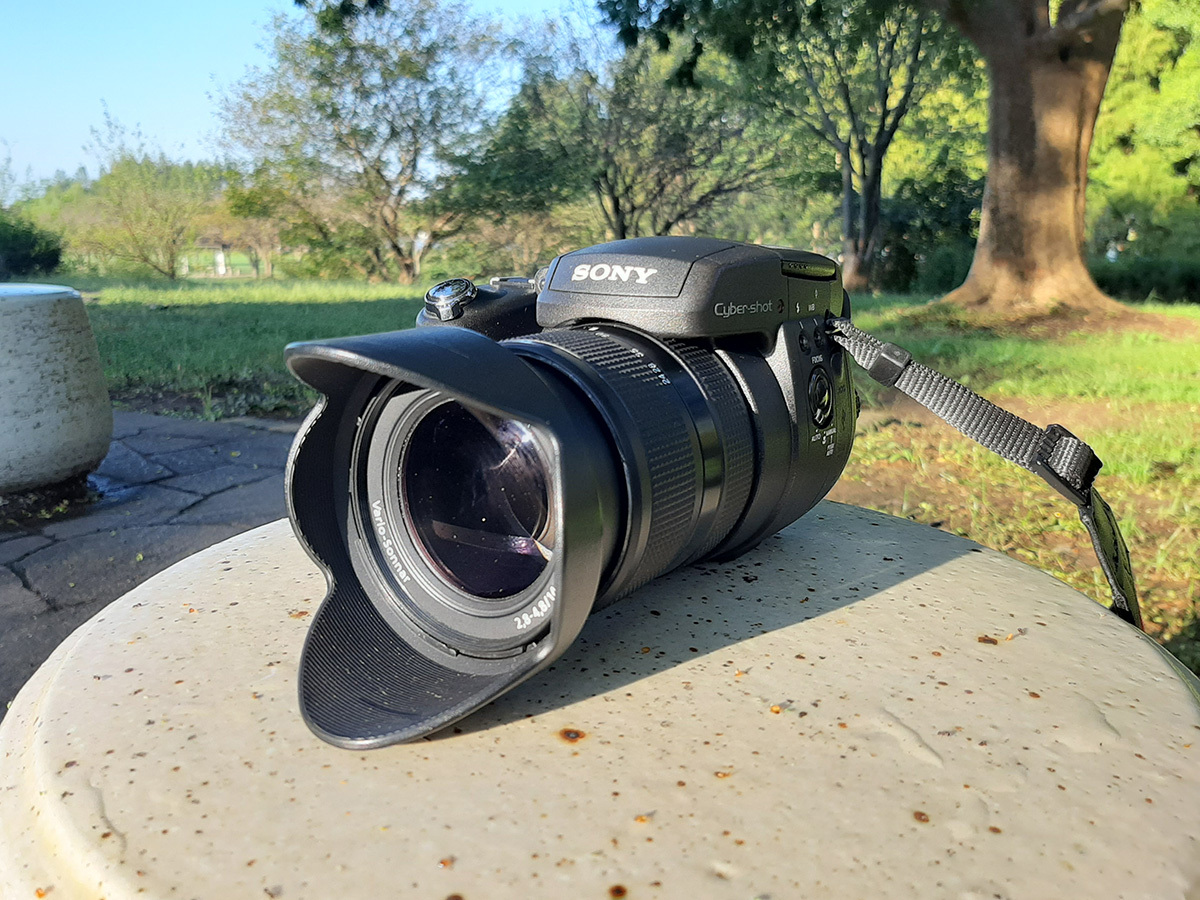 SONY DSC-R1 作例①『水元公園・みさと公園』 - フォト・ディレッタント