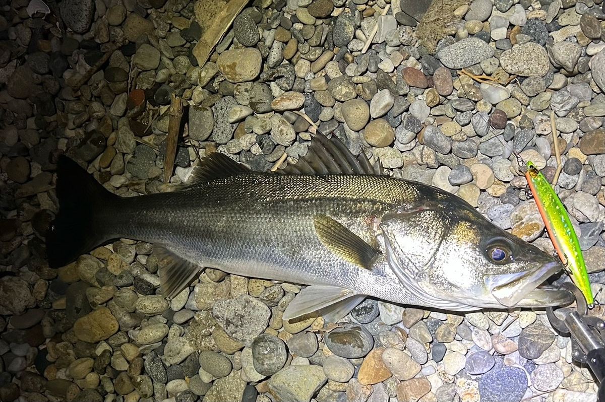 ルナミス S96ML バットのみ ルナミス S96ML バットのみ ルナミス S96ML