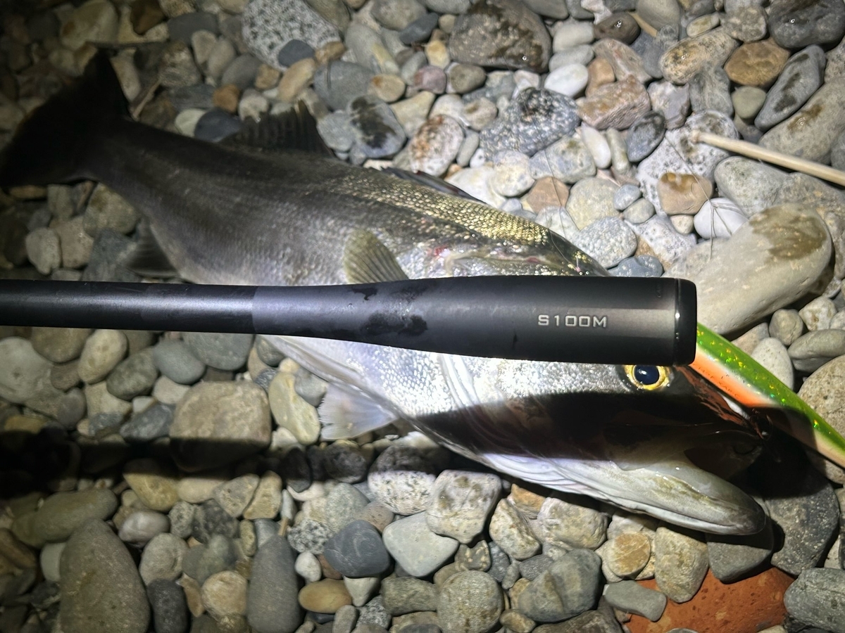 シマノ 23ディアルーナインプレ 96ML/100M/100MHを使ってみて - じー