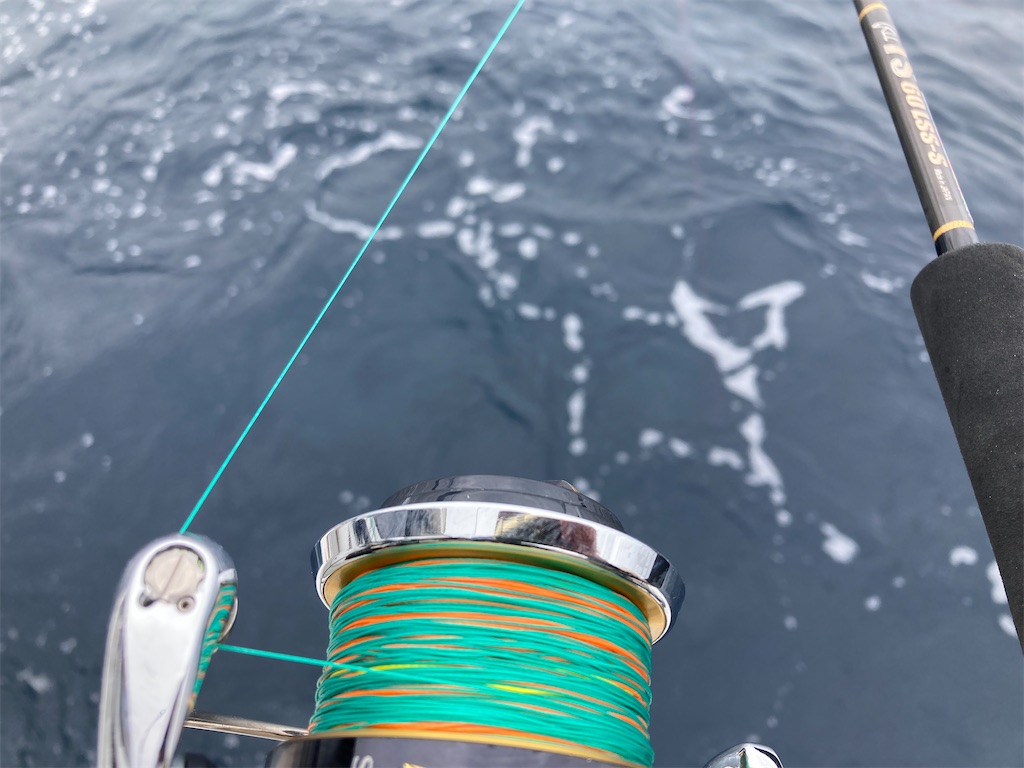 サンダーストラックロッドの魔力 その3 - え ぶ ろ ぐ