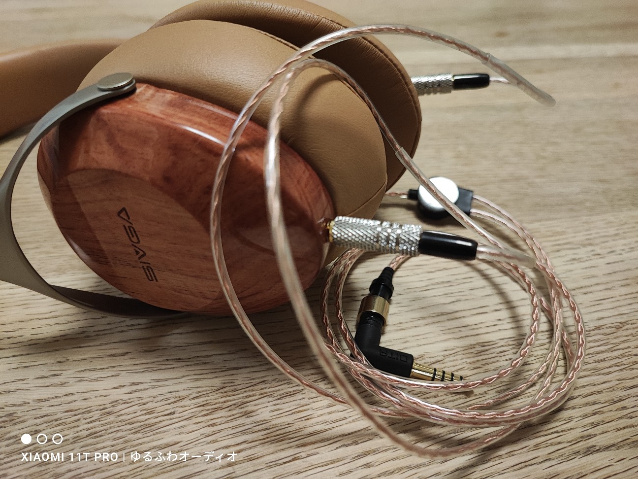 レビュー：ヘッドホンSIVGA SV021 Robin 結論：A20K Tier1 圧倒的な