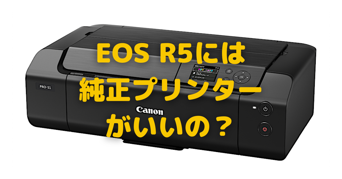Canon「PIXUS PRO-S1」導入を迷う〜EPSON EP-982A3の色再現性が