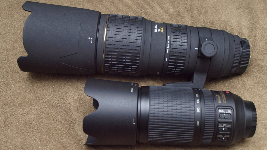 SIGMA APO 100-300mm F4 EX IF HSM - estelの雑記帳