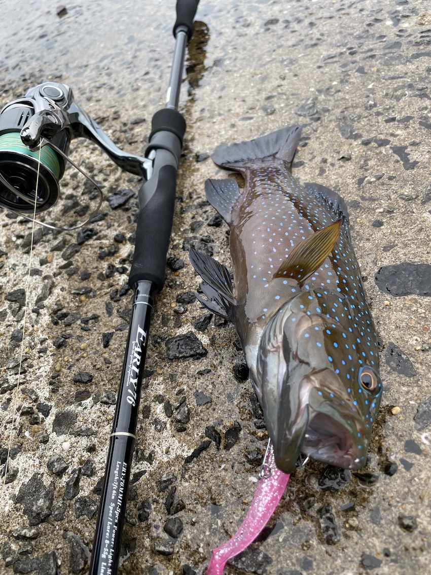 EARLY for Mobile 76MMH for Mobile /3 pcs のインプレ - ft ブログ