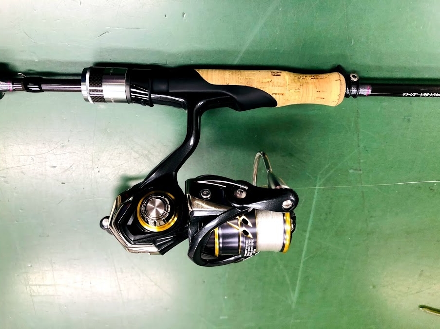 ダイワ21 カルディア FC LT2000S - 房総ダム湖の旅人