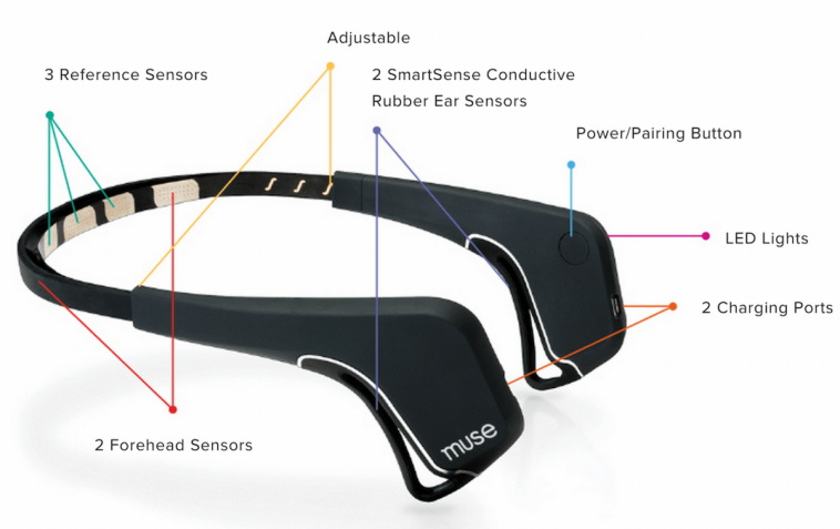 Muse EEG Utilities for Capture, Conversion and Visualization of