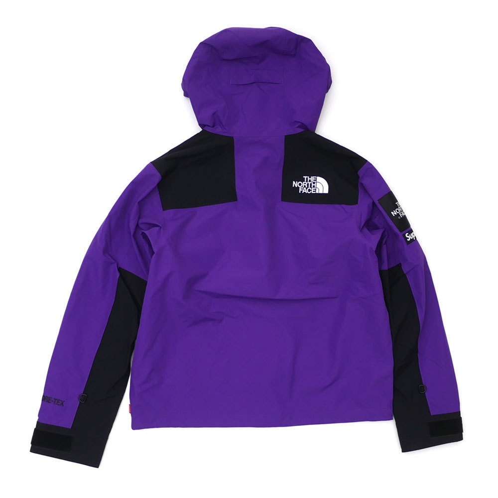 Supreme x North Face Arc Logo Mountain Parka GORE-TEX (Supreme