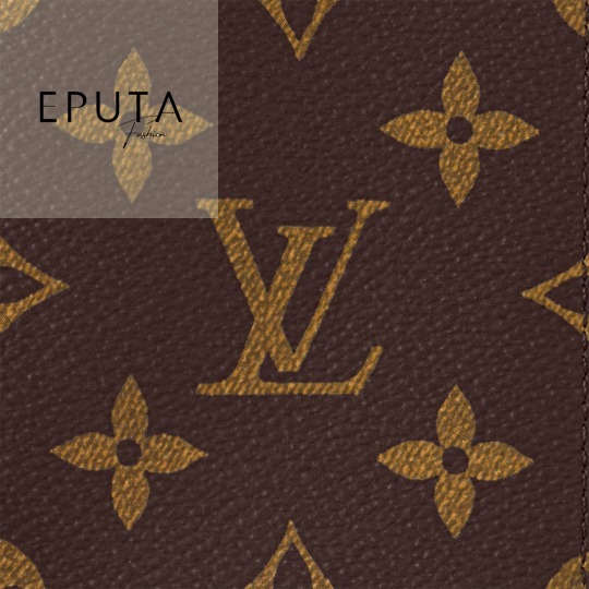 SALE]ヴィトン Vuitton レア ポルトフォイユブラザ NM (Louis Vuitton