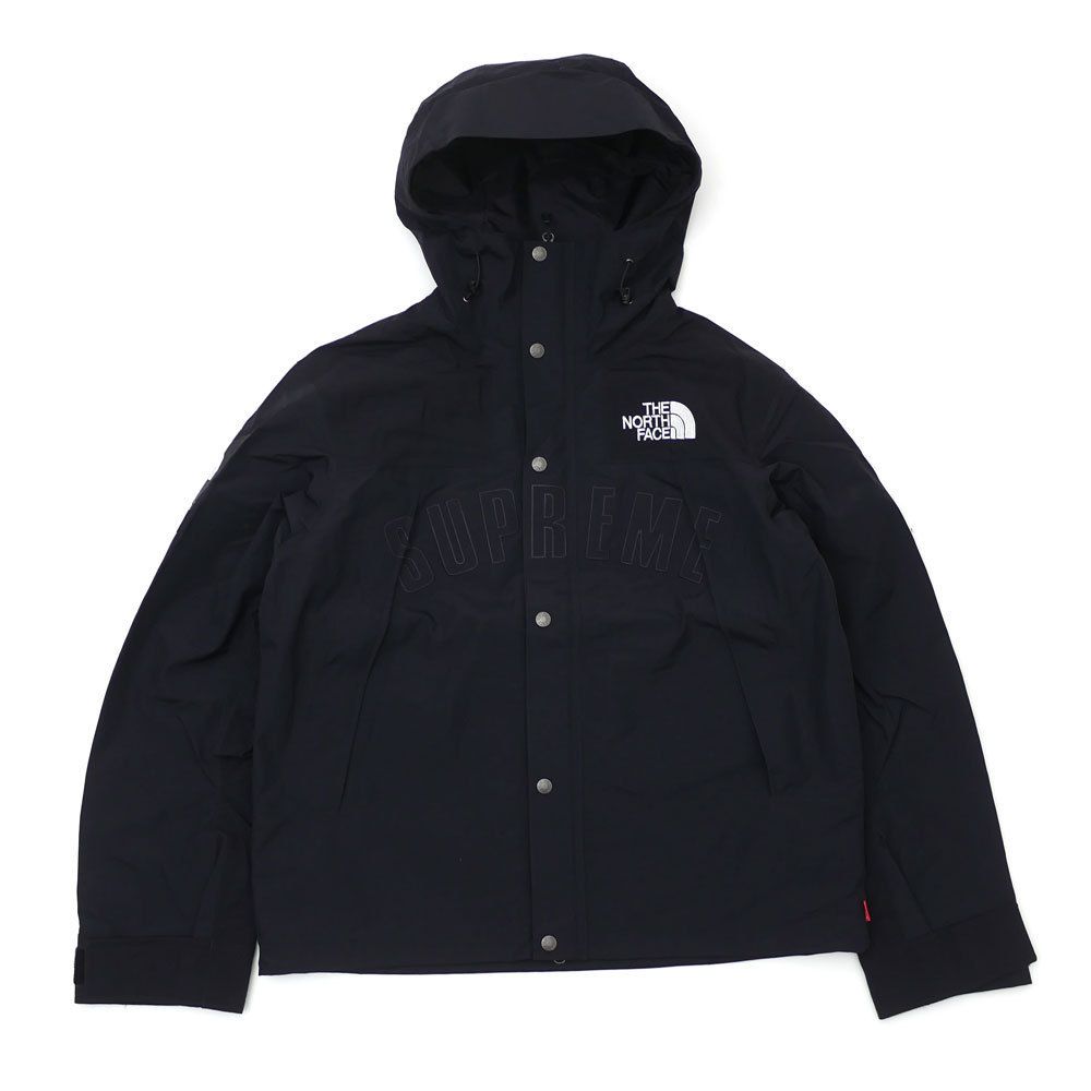 Supreme x North Face Arc Logo Mountain Parka GORE-TEX (Supreme