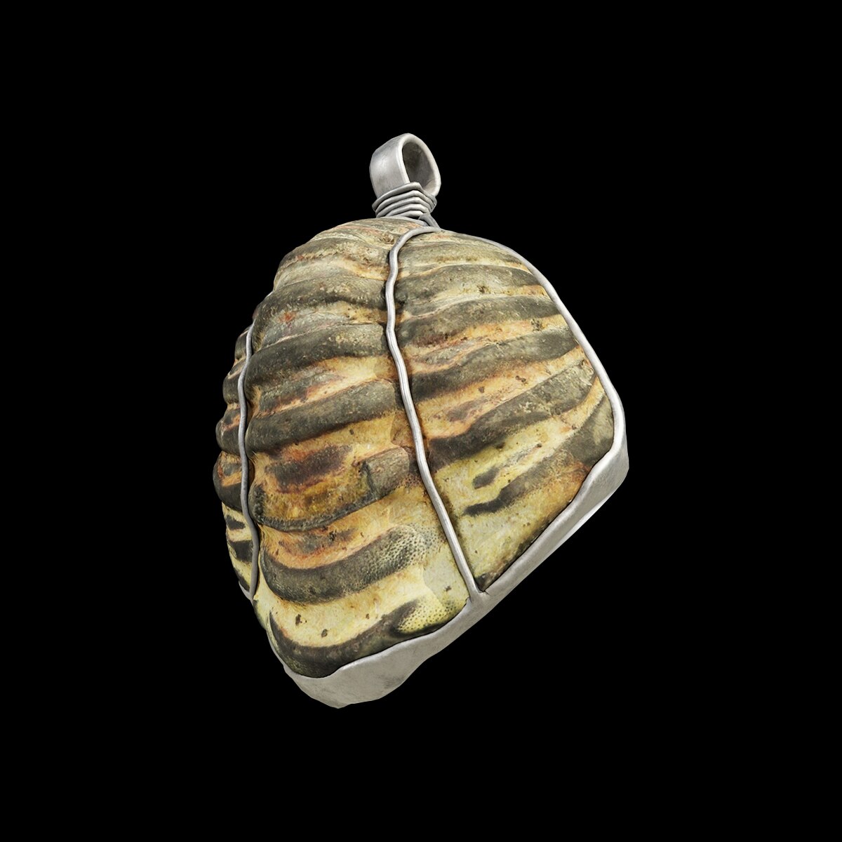 古代ローマ人が三葉虫の化石をアクセサリーに加工か、初の発見