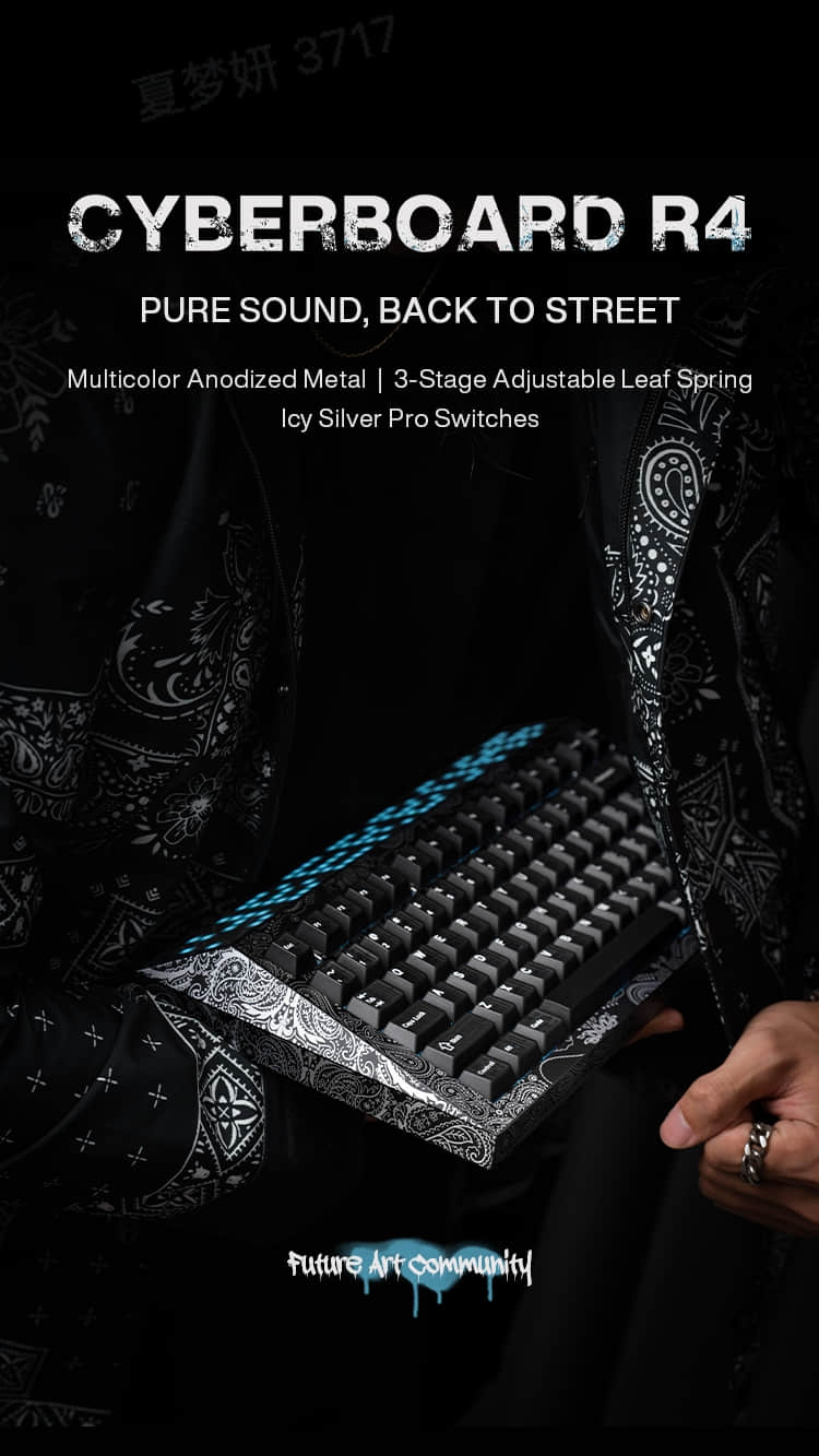 CYBERBOARD R4