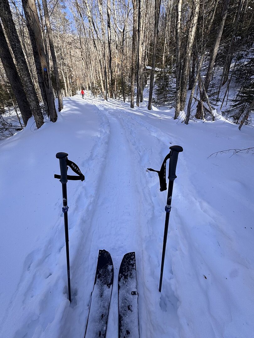 Burton x Black Diamond Compactor Poles | Backcountry | Burton.com