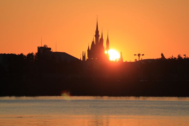 眠い目をこすりながら、初日の出と水仙を見に葛西臨海公園へ』東京の