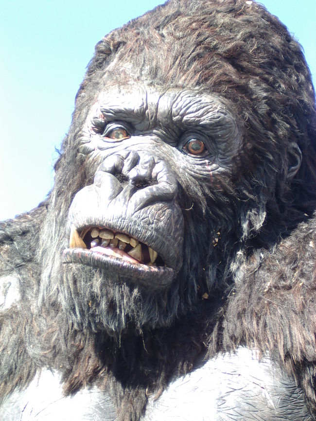 2005年 ユニバーサル・スタジオ・ハリウッドにキング・コングを見に