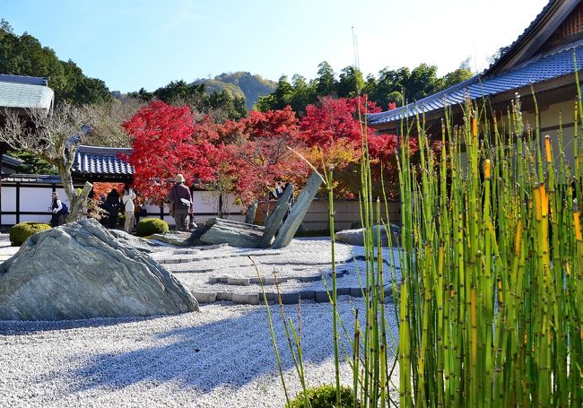 日本画琳派渡辺章雄 作冬の清水寺