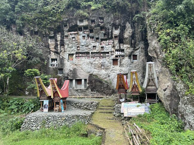 形の奇妙なスラウェシ島、インドネシア3（トラジャ1）』スラウェシ島