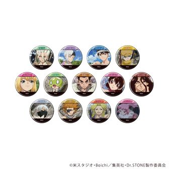 Dr．STONE_氷月 Ani-Art 第2弾 BIGアクリルスタンド | 公式