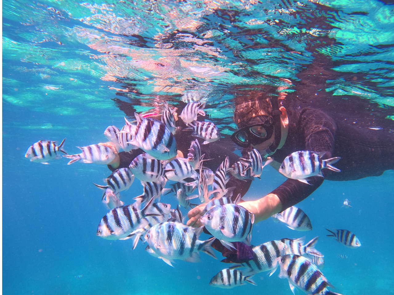 北谷発お手軽ボートシュノーケル】安心の1組専属開催。1日4便開催