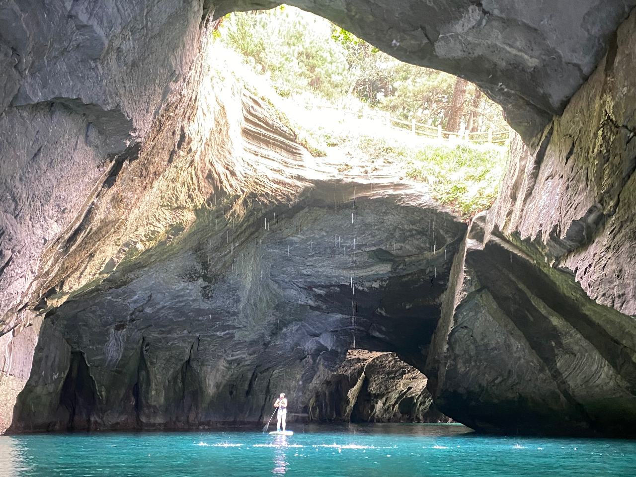 完全プライベート ☆国指定天然記念物 堂ヶ島 青い洞窟天窓洞ツアー